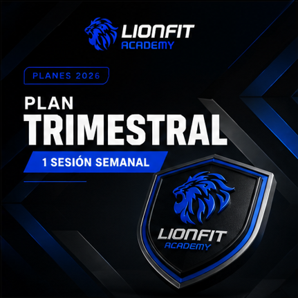 Plan Trimestral - 1 sesión semanal