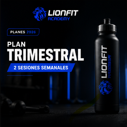 Plan Trimestral - 2 sesiones semanales